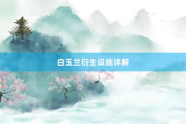 白玉兰衍生设施详解